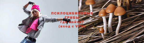 кокс Алзамай