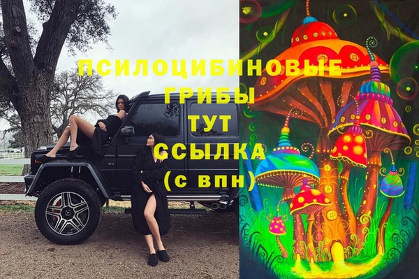 кокс Алзамай