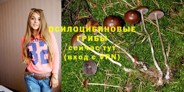 спайс Алексеевка