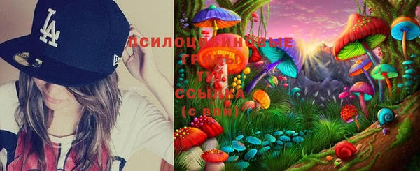 спайс Алексеевка