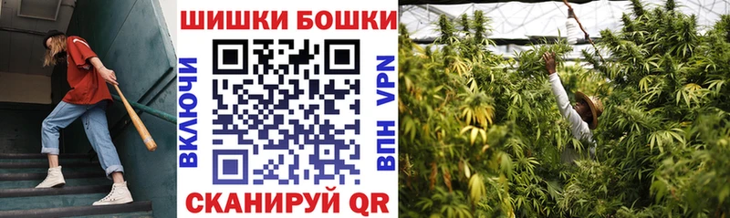 Бошки Шишки ГИДРОПОН  Болгар 